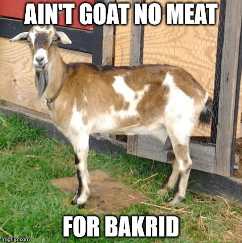 Goat Meme2